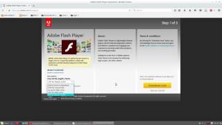 adobe flash player plugin google chrome free download