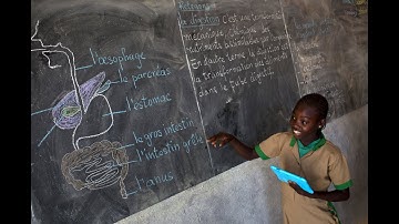 Sierra Leone joins Giga toward “Digitization For All”