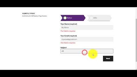 Contact Form 7 - CF7 Multi-Step Forms