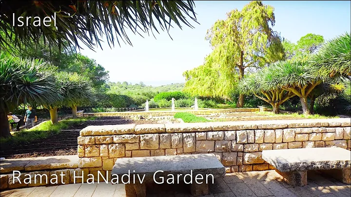 Ramat HaNadiv GARDEN in Winter,  Zichron Yaakov, I...
