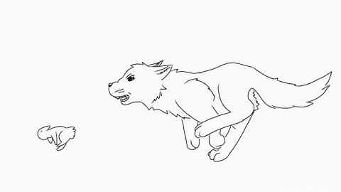 Wolf Run Animation Test