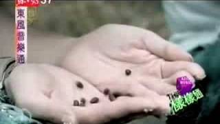 真爱 183 Club MV