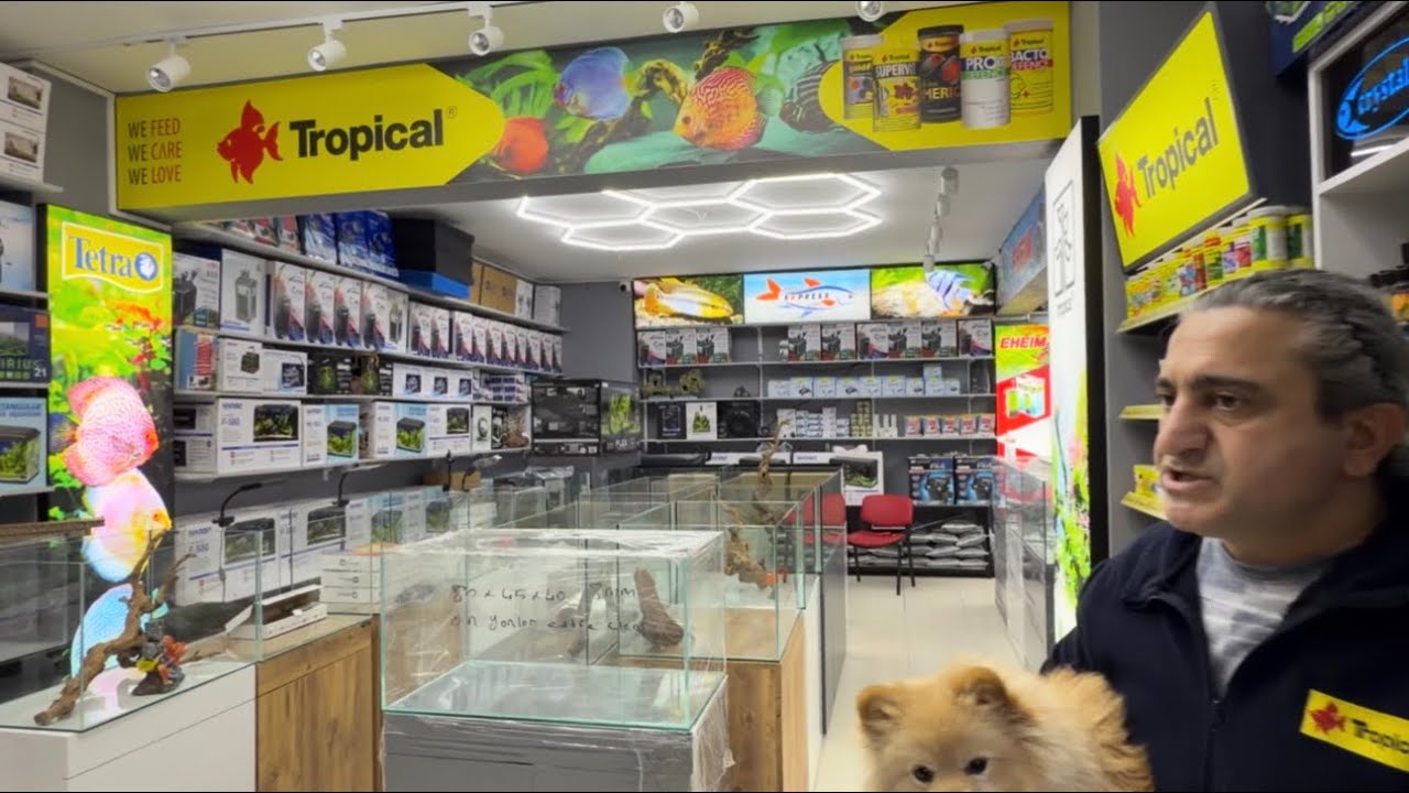 AKVARYUM EXPRESS SHOWROOM AÇILDI
