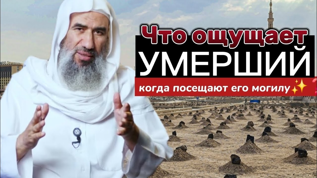 🪦Что ощущает умерший,когда посещают его могилу✨❓Шейх Вахид Абдуссалям аль-Балий 