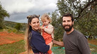 FIRST OLIVE HARVEST ON OUR OFF GRID HOMESTEAD IN SICILY!