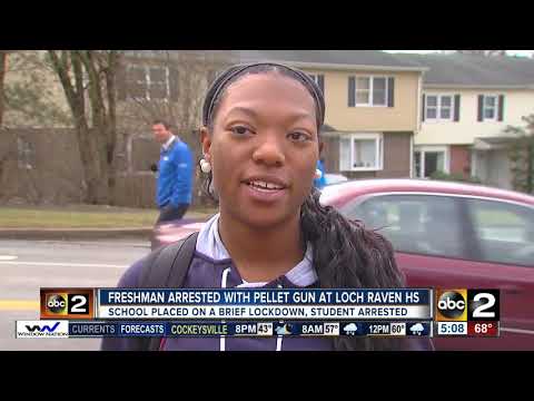 Freshman arrested with pellet gun at loch raven high school