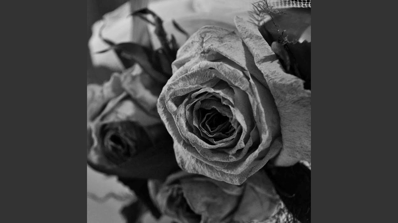 missing calls auf YouTube ansehen missing calls auf YouTube ansehen