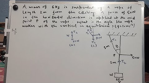 Example 5.6 NCERT Class 11 🔥 Equilibrium of Forces | No Confusion Guaranteed