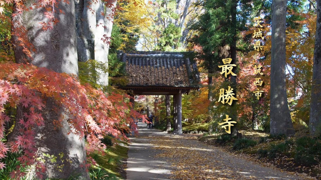 【茨城県筑西市】最勝寺の紅葉