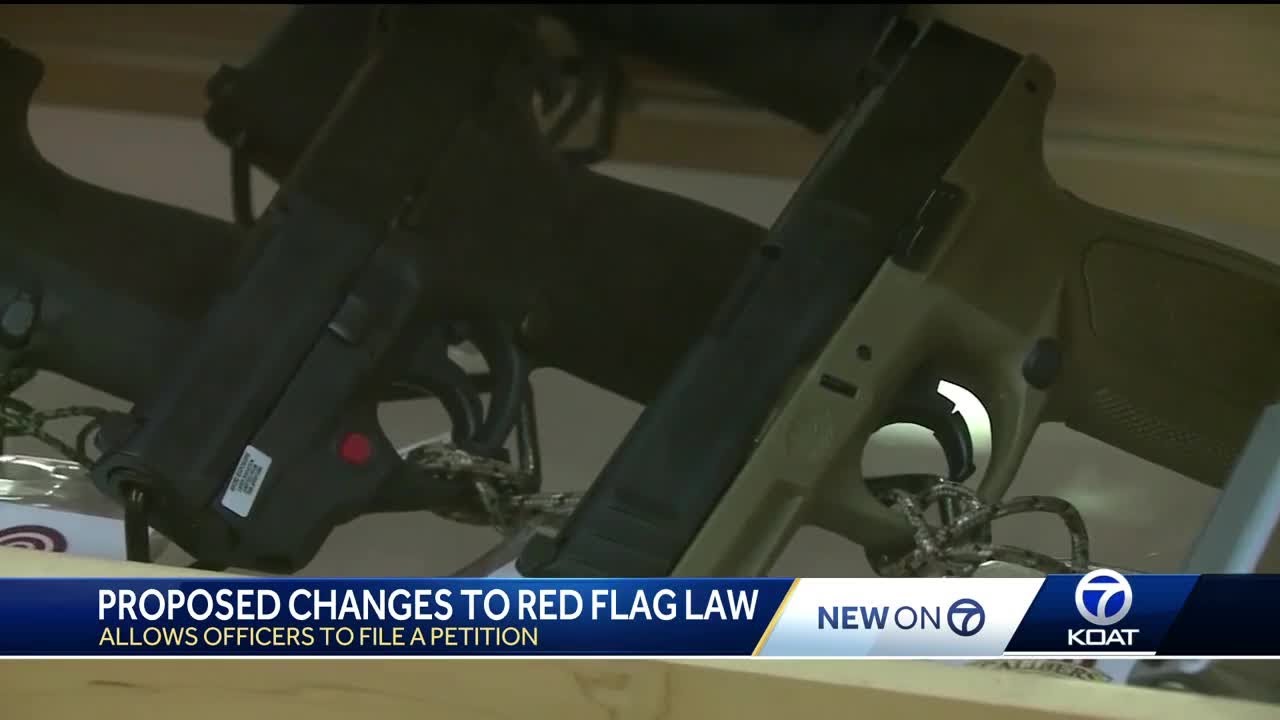 New Mexico legislators discuss changes to red flag law - YouTube