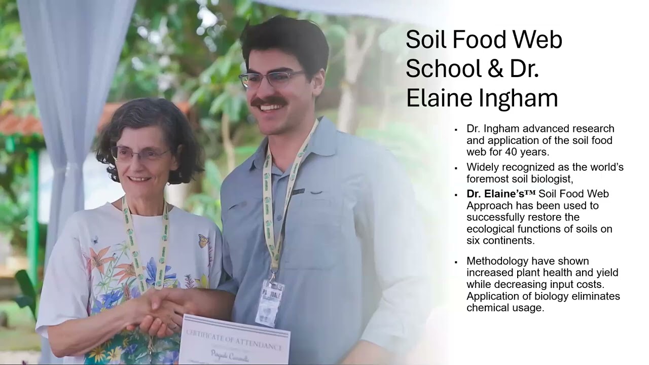 Tuesday Gardening Series: Soil Food Web