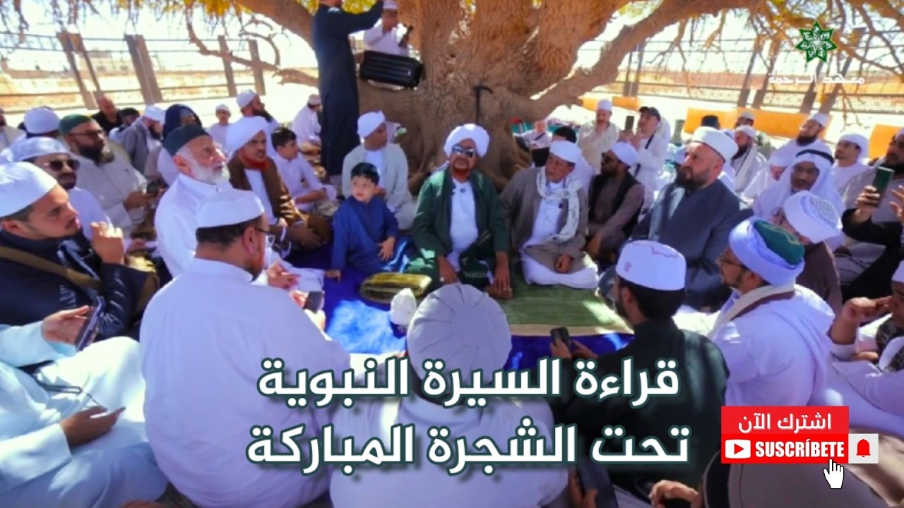 قراءة السيرة النبوية تحت الشجرة المباركة مع الحبيب عمر بن حفيظ