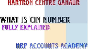 WHAT IS CIN NUMBER|| C.A TOPIC VIDEO||NRP ACCOUNTS ACADEMY