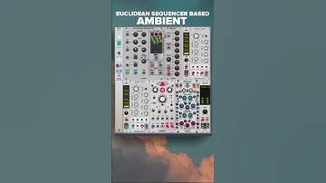 VCV Rack Euclidean FM Patch – Generative Ambient Rhythm with Delay & Reverb