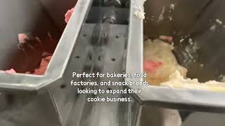 Two Color Cookie Depositor Machine