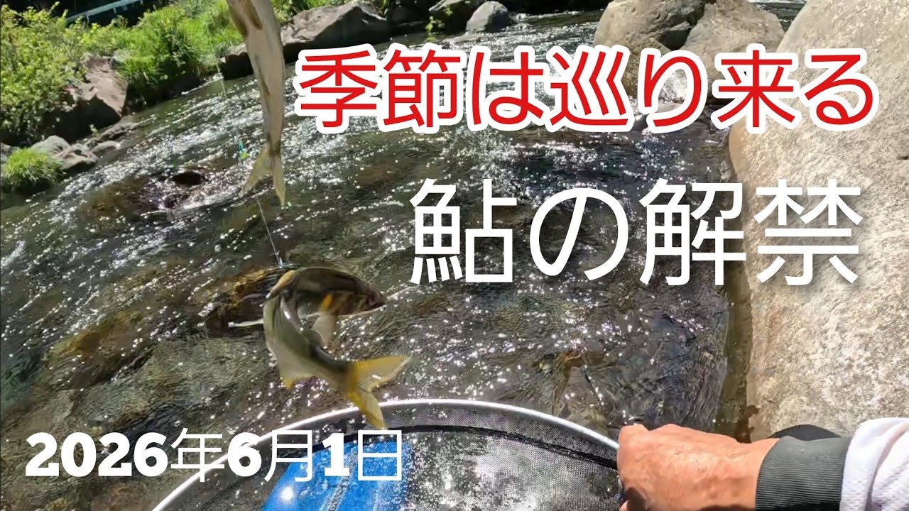 NO.1 [Ayu Fishing Season Opens] Despair over securing a spot