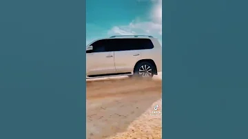 عبد الله علي ود دار الزين 