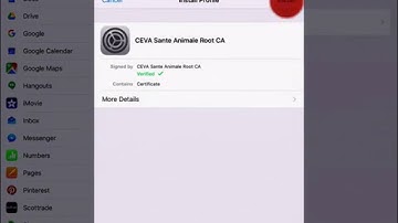 Install Microstrategy Mobile iOS V9.2 - iPad Air