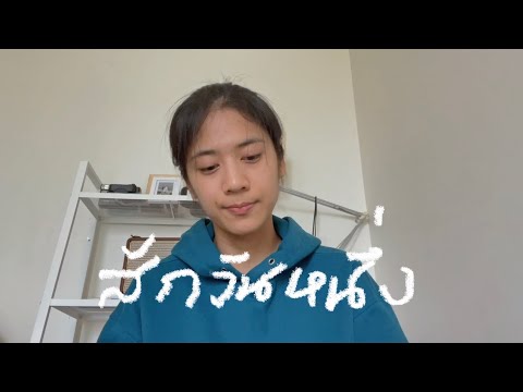 สักวันหนึ่ง - มาริสา สุโกศล หนุนภักดี feat. BOYd (covered by sarah salola)