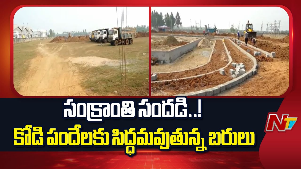 Krishna District: ఉమ్మడి కృష్ణా జిల్లాలో సిద్ధమవుతున్న సంక్రాంతి బరులు | Special Report | NTV Telugu