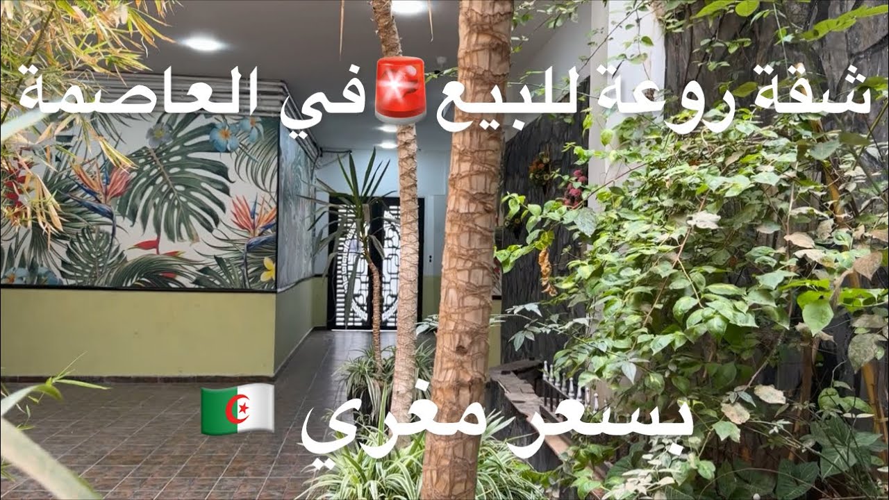 ✔️تم بيع ✔️شقة روعة للبيع🚨في العاصمة بسعر مغري/🇩🇿