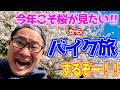 【バイク旅】今年こそ桜が見たくてバイク旅に出てみた‼︎【夏前にプレイバック】
