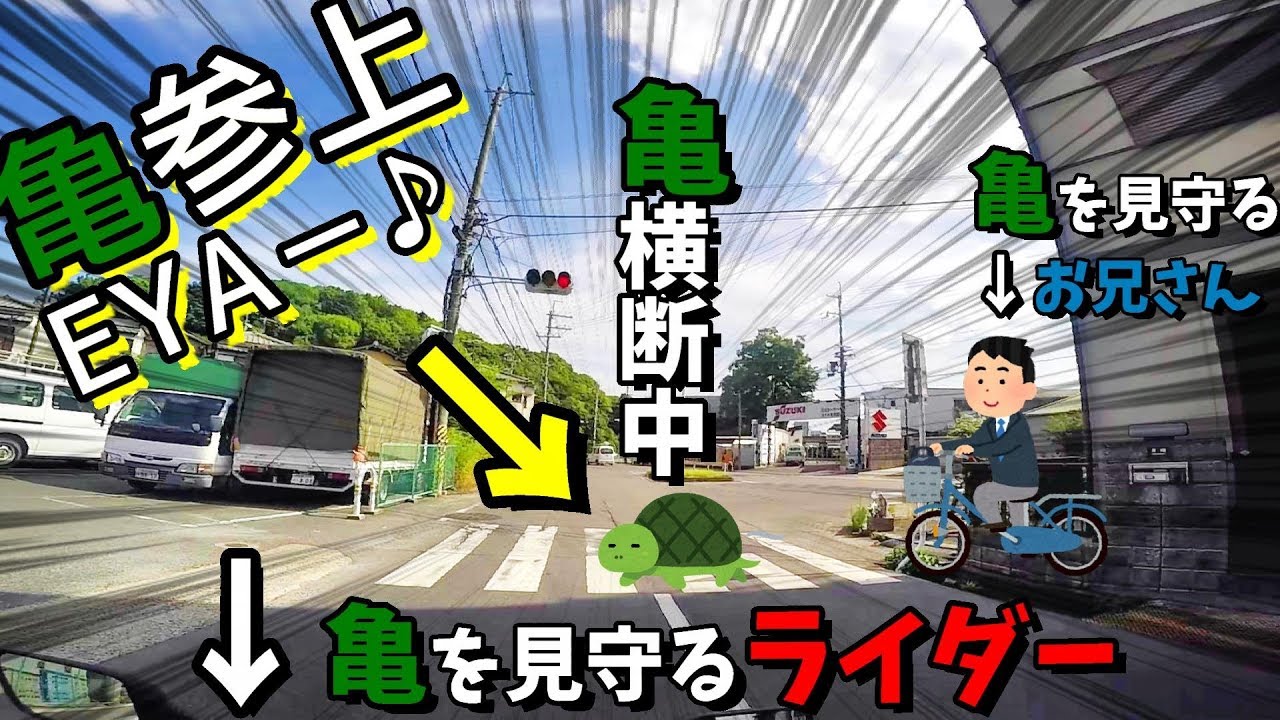 バイクで金魚の町に来たけど…これって友情？愛情？亀参上♪EYAーー♪