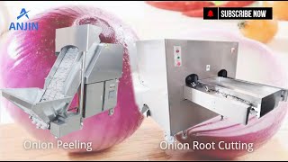 Automatic Onion Peeling and Root Cutting Machine High Efficiency Onion Processing Line