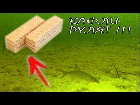 Ни фига себе! РЕАКЦИЯ РЫБЫ НА ВАФЛИ!!! Подводная съемка | Зимняя рыбалка 2018