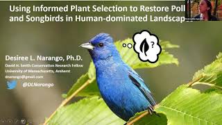 Informed Plant Selection to restore Pollinators and Songbirds in Human Dominated Landscapes