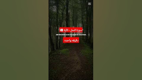 سورة النحل - الآية 49 قرآن كريم
