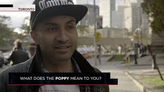 What does the poppy mean to you? | Outburst