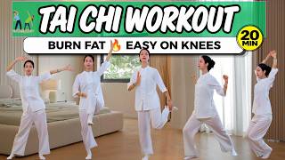 20-Min Tai Chi Workout 🔥 Burn Fat at Home & Go Easy on Your Knees | No Jumping