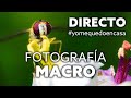 5º DIRECTO #yomequedoencasa: Fotografía MACRO