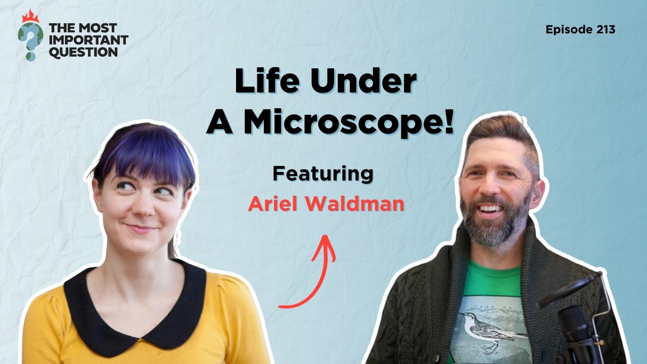 Life Under A Microscope with Ariel Waldman