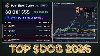 $DOG Officially Top Blue Chip Memecoin in 2026 🏆