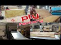 Making ply board full process factory made