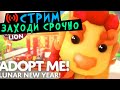 🔴 Прямое включение Обновление в адопт ми. Прямая трансляция. Мультик игра roblox. Стрим