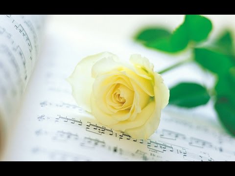 Free YouTube Music Free Download Nocopyright Song