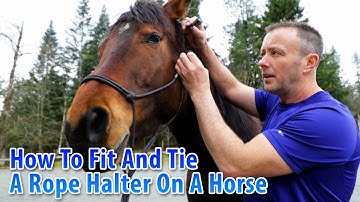 How To Fit And Tie A Rope Halter On A Horse
