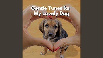 Scintillating Backdrops for Forgetting Mirrors