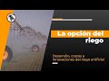 Bichos de Campo TV: La opción del riego