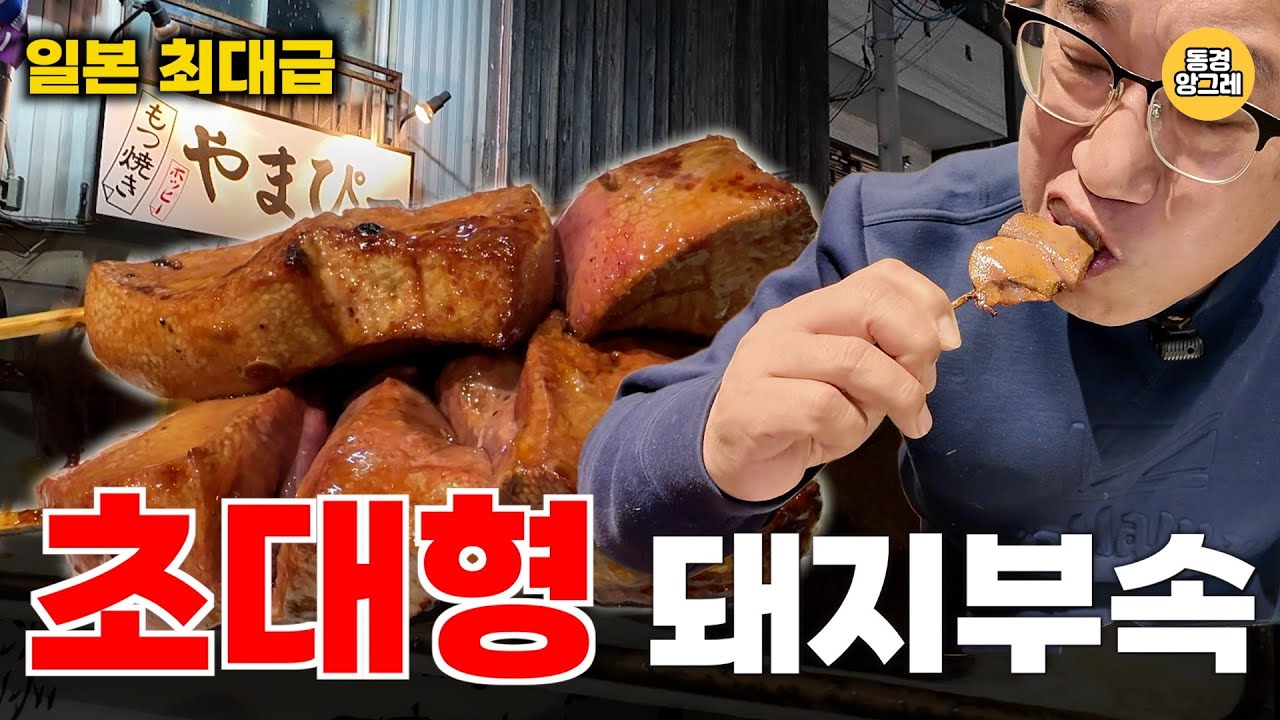 [도쿄 1등]꼬치의 클라스가 다르네요. 일본 최대크기!! 모츠야키 야마피~~ [もつ焼き やまぴー]