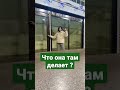 Что там можно делать ночью 🌙?