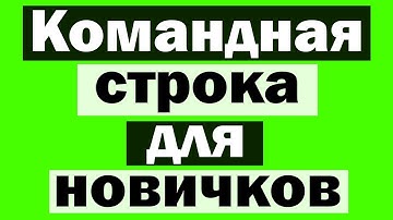 Команды в cmd для новичков
