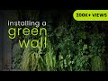 Installing A Green Wall