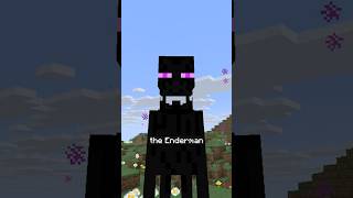 Never Ending Staring Contest With An Enderman?
