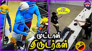      Funny Thieves  Part 6  The Magnet Family 20