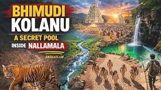 Hidden Pool Inside India’s Largest Tiger Reserve (NSTR) | Bhimudi Kolanu Srisailam