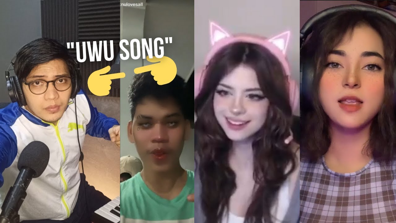 Sean Al X Ch4knu, Hannah uwu & Aj Raval - Uwu Song Remix - YouTube